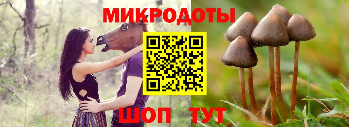 Галлюциногенные грибы мухоморы Ленинск-Кузнецкий